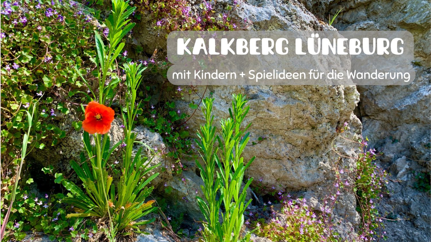 Kalkberg Lüneburg mit Kindern