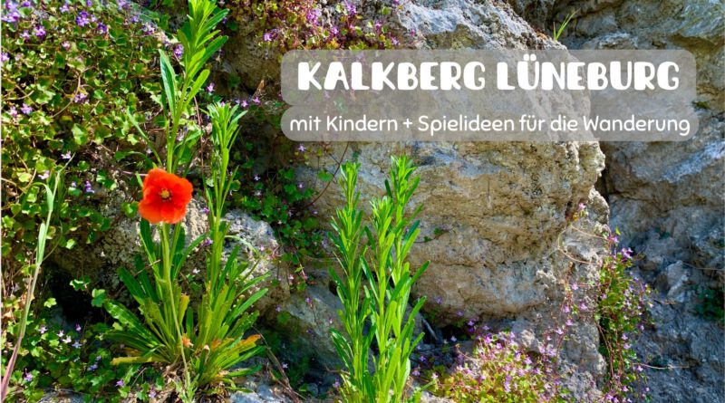 Kalkberg Lüneburg mit Kindern