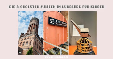 Top 3 Museen in Lüneburg