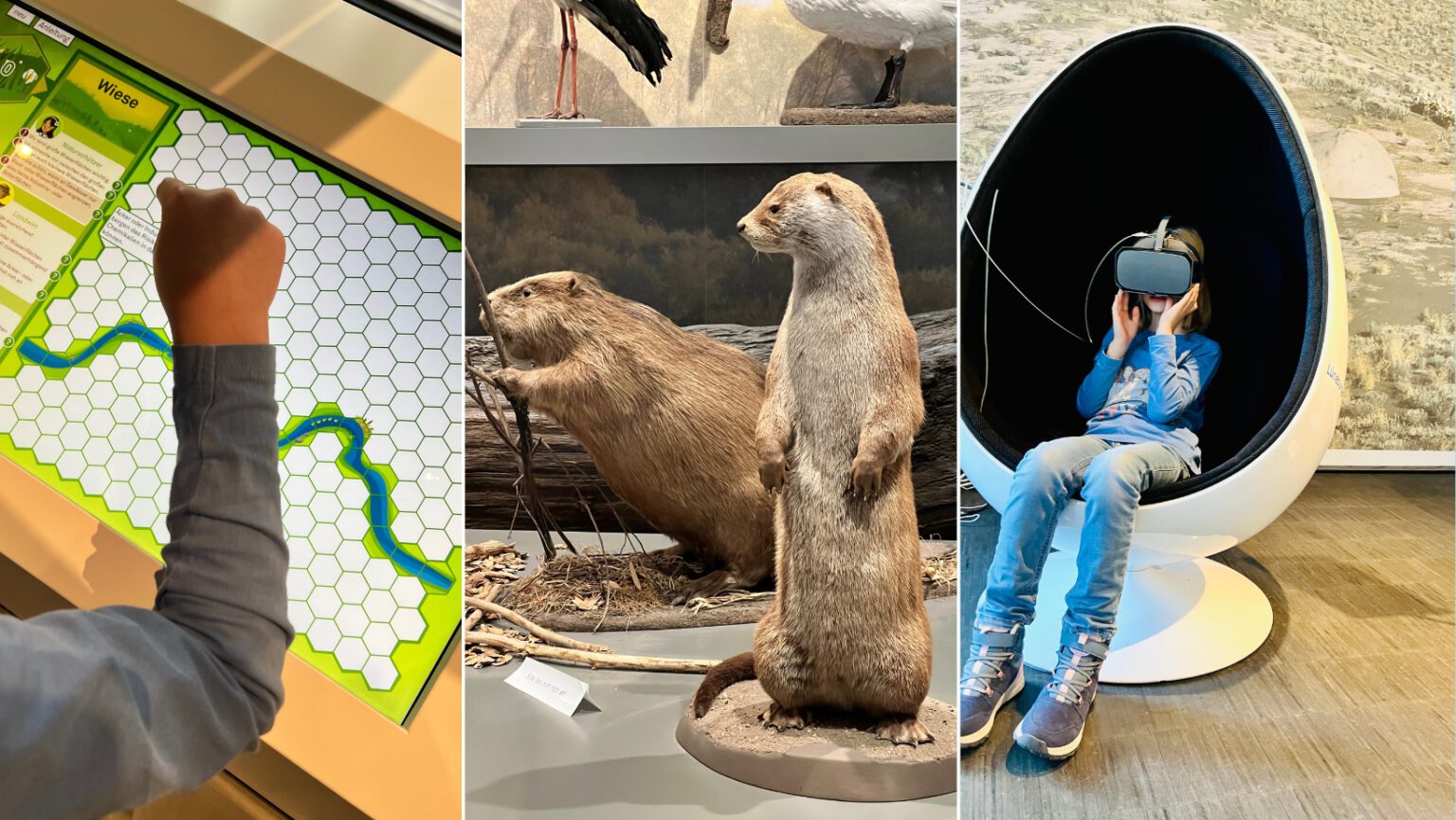 Die 3 besten Museen in Lüneburg für Kinder kleine ERIKA