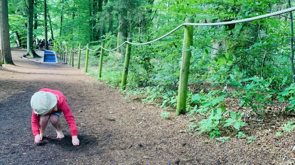Mit Kindern in Lüneburg den Spätsommer genießen - im Barfußpark Egestorf