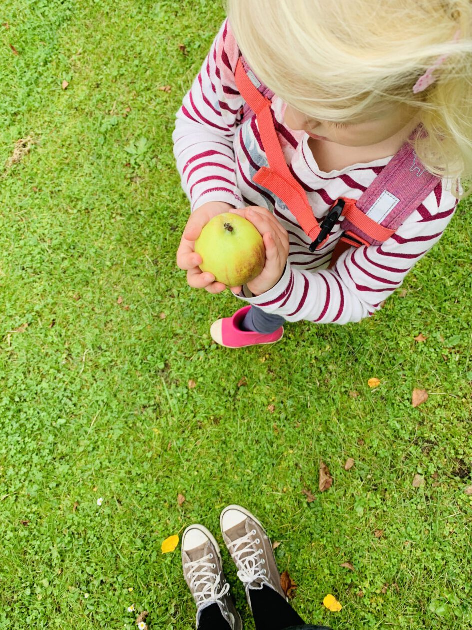 Äpfel pflücken in Lüneburg mit Kindern