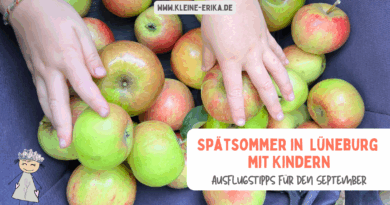 Spätsommer in Lüneburg mit Kindern - 9 Ausflugstipps für Familien