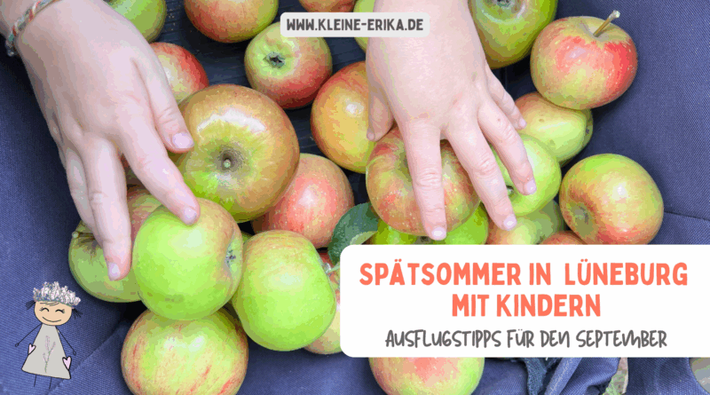 Spätsommer in Lüneburg mit Kindern - 9 Ausflugstipps für Familien