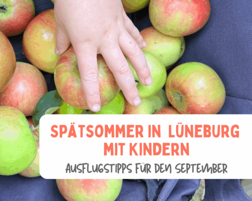 Spätsommer in Lüneburg mit Kindern - 9 Ausflugstipps für Familien