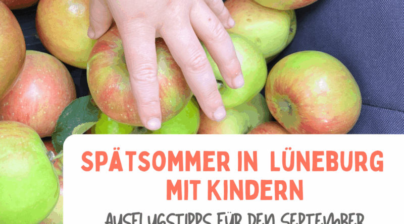 Spätsommer in Lüneburg mit Kindern - 9 Ausflugstipps für Familien