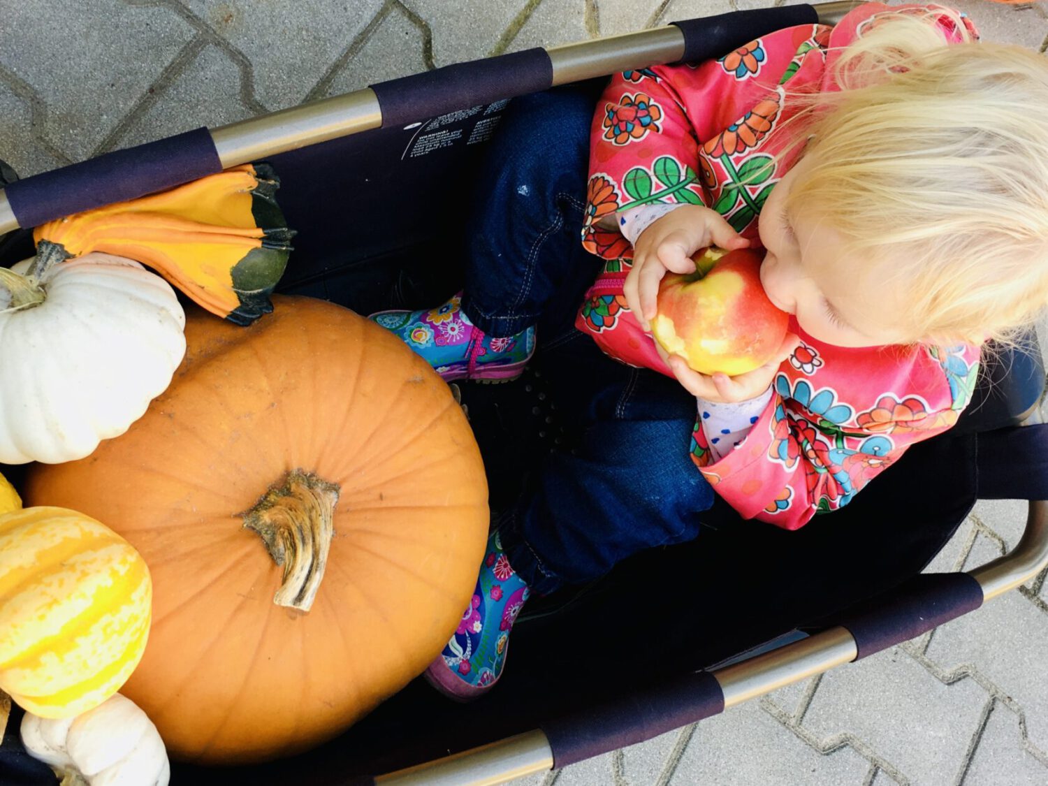 genießt den Herbst in Lüneburg mit Kindern