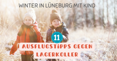 Lüneburg mit Kind im Winter - Ausflugideen