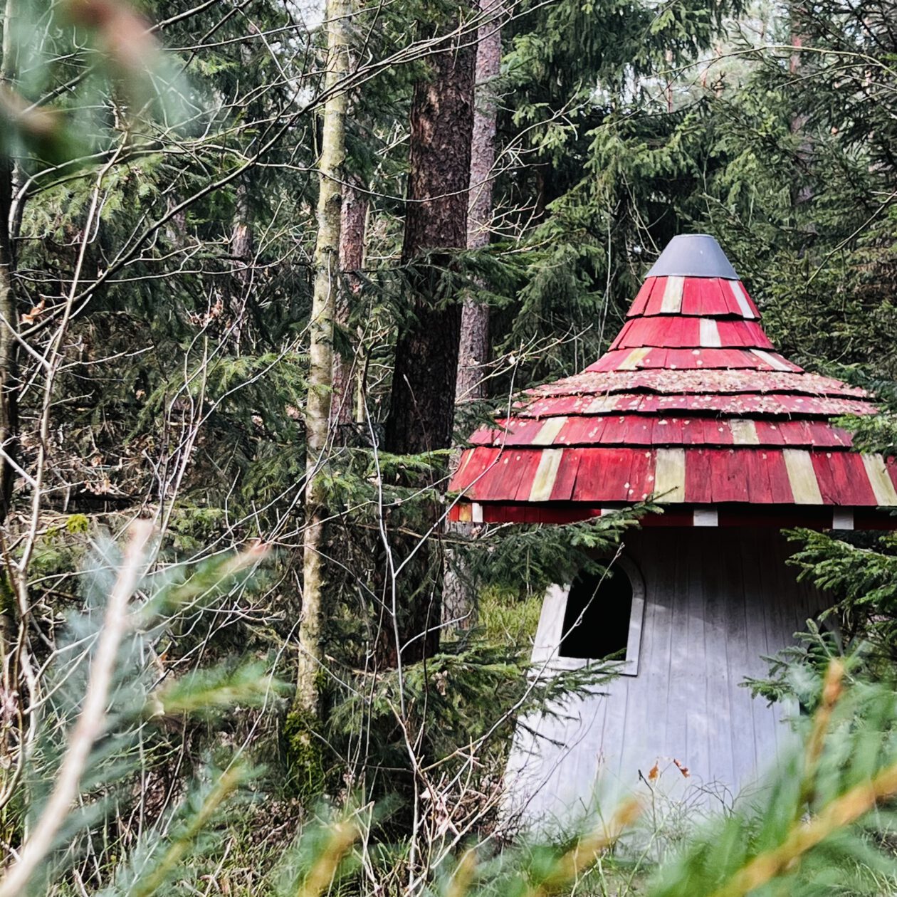 Märchenwald Jesteburg: Pilzhaus im Wald
