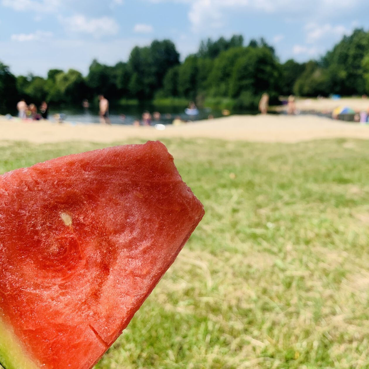 Schwimmbäder in Lüneburg und Umgebung, Freibäder in Lüneburg und Umgebung