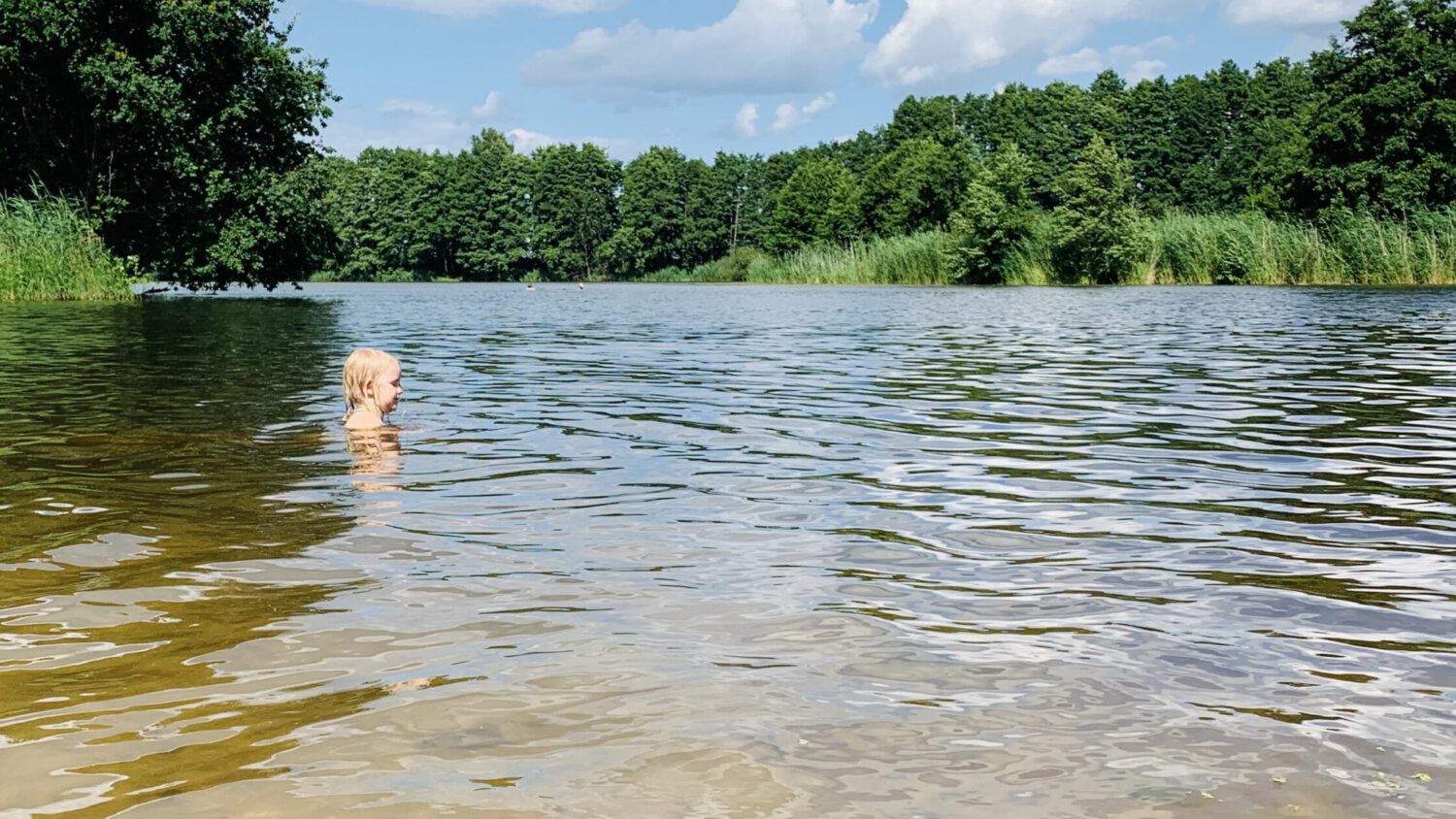 Schwimmbäder in Lüneburg und Umgebung, Freibäder in Lüneburg und Umgebung