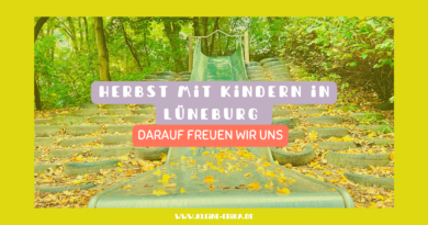 Herbst mit Kindern in Lüneburg: Ideen und Termine