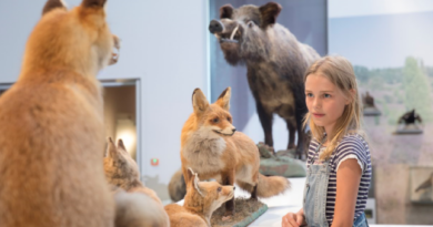 Familienevents im Museum Lüneburg