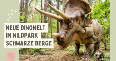 Dinowelt im Wildpark Schwarze Berge